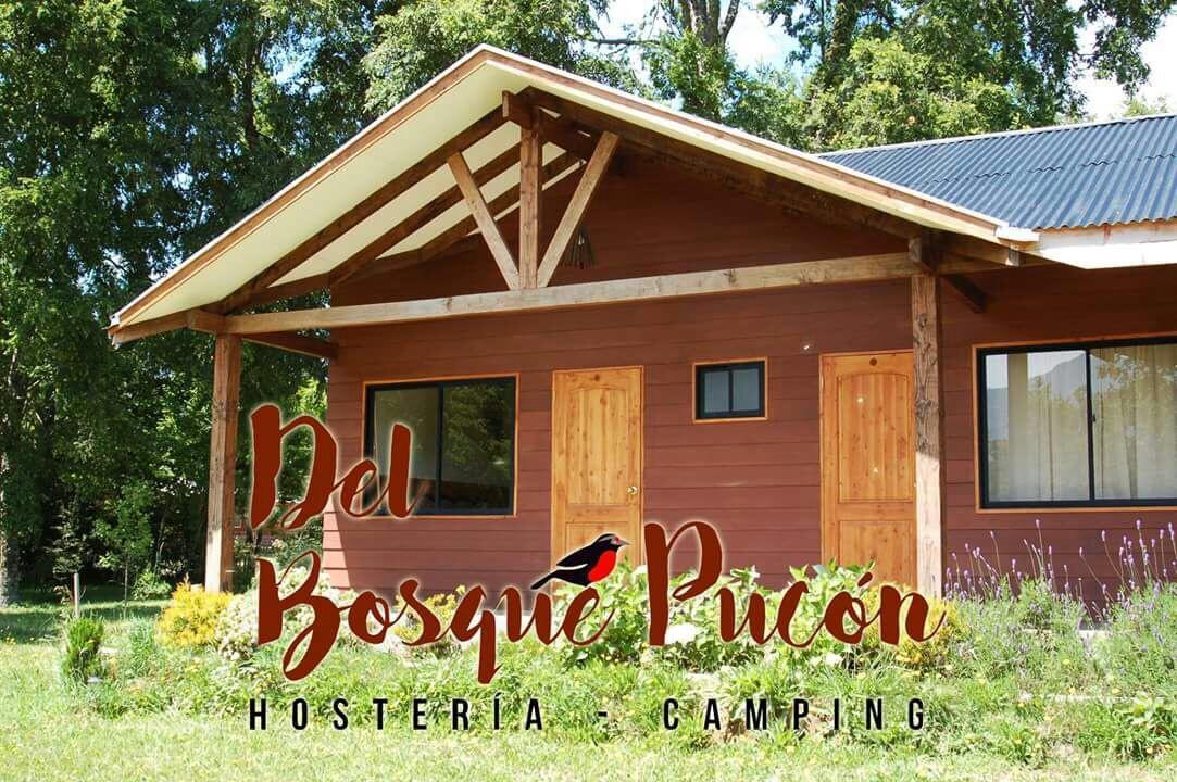 Hosteria Y Camping Del Bosque Pucón Εξωτερικό φωτογραφία