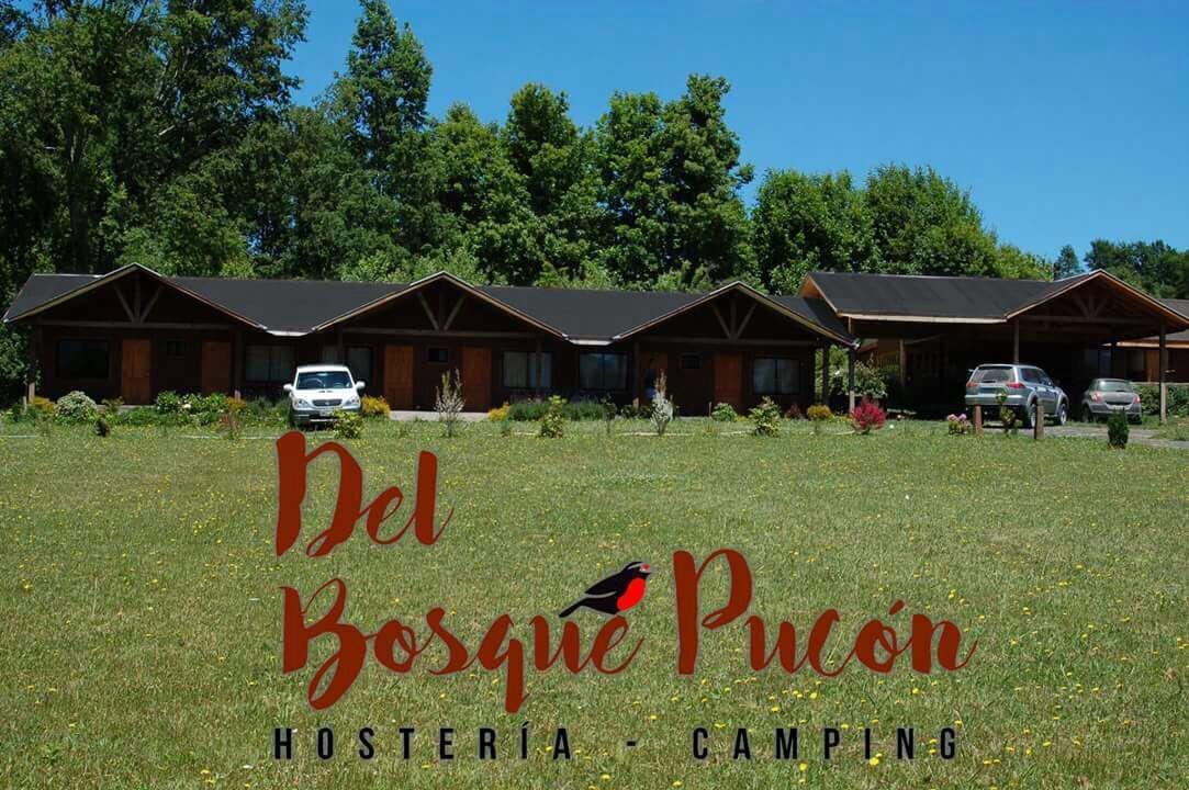 Hosteria Y Camping Del Bosque Pucón Εξωτερικό φωτογραφία